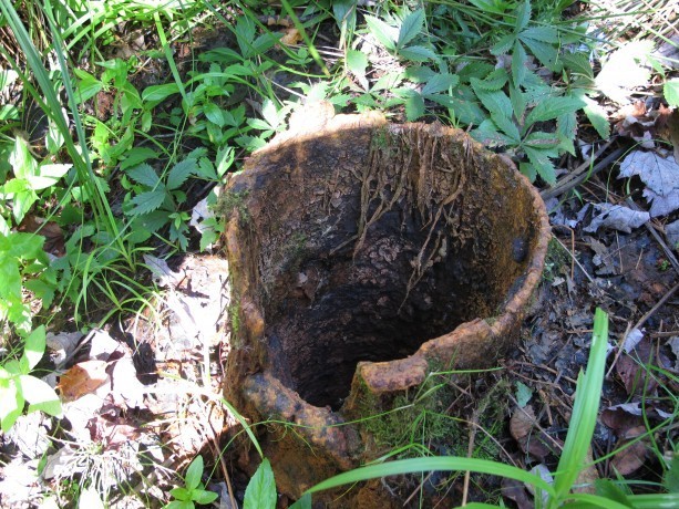Unplugged Abandoned Well